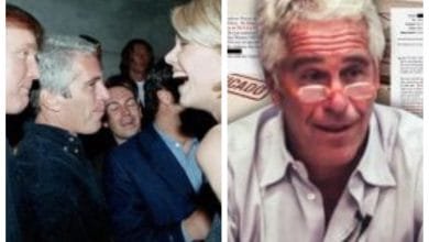 Epstein – Donal