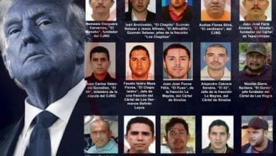 Trump-narcos-mexicanos-1068×762